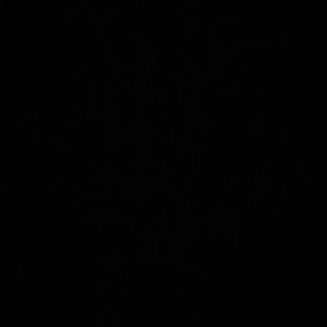 Meet your Posher, Payton